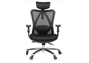 Duramont Ergonomic Office Chair