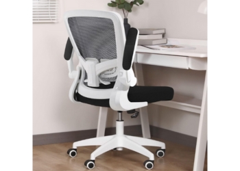 FelixKing Ergonomic Office Desk Chair